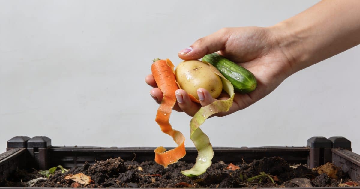 Mains versant epluchures legumes dans composteur jardin