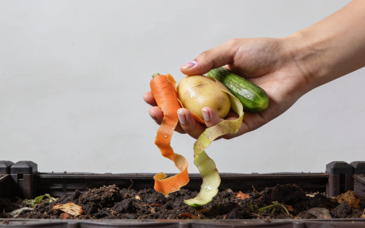 Mains versant epluchures legumes dans composteur jardin