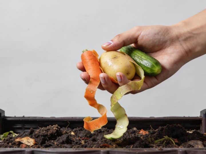 Mains versant epluchures legumes dans composteur jardin