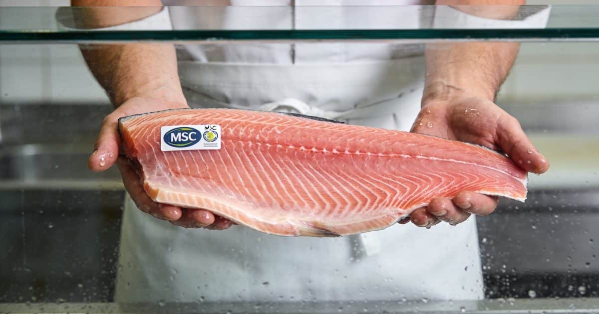 Poissonnier tenant saumon etiquete MSC dans vitrine