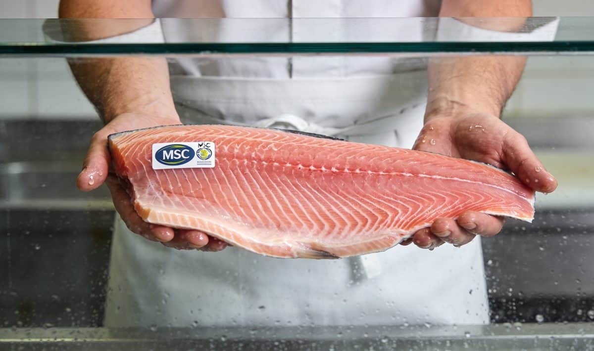 Poissonnier tenant saumon etiquete MSC dans vitrine