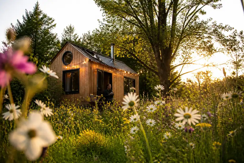 Cabane en bois installee parmi des fleurs sauvages
