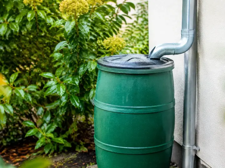 Cuve verte en plastique posee sous une gouttiere