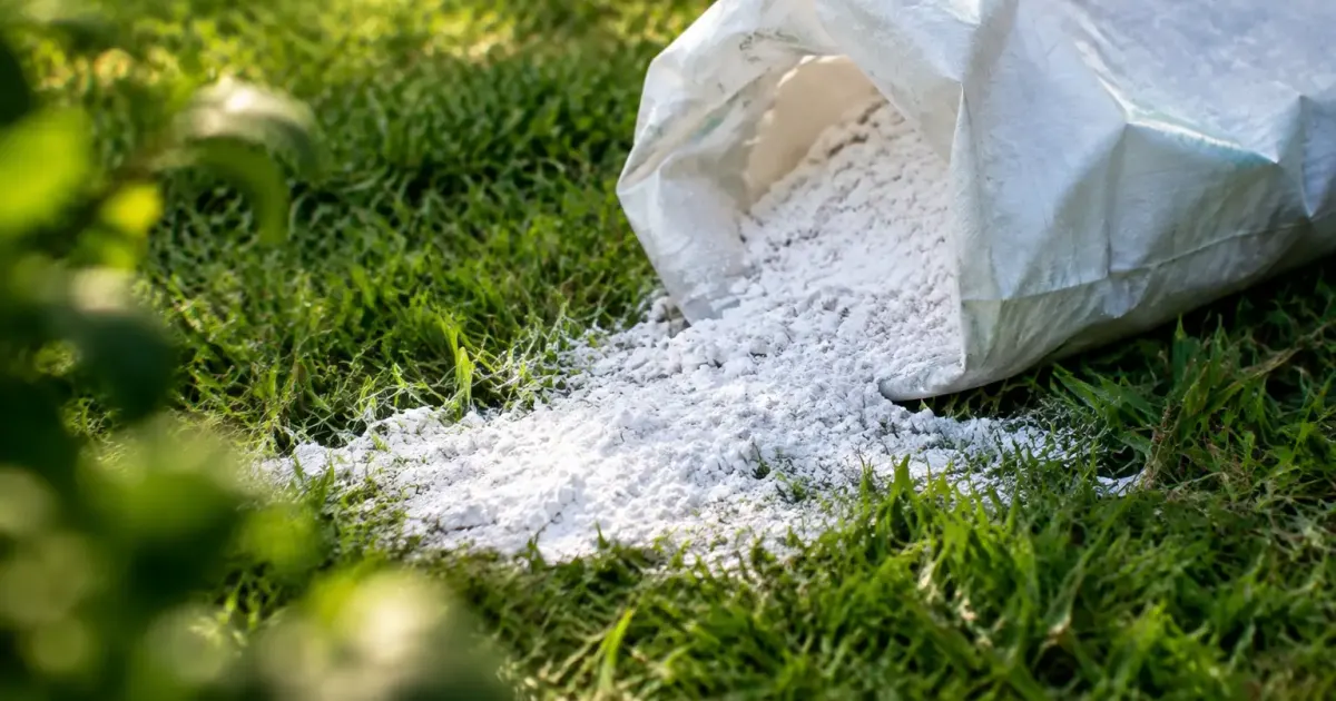 Gazon saupoudre de poudre blanche, sac ouvert au sol