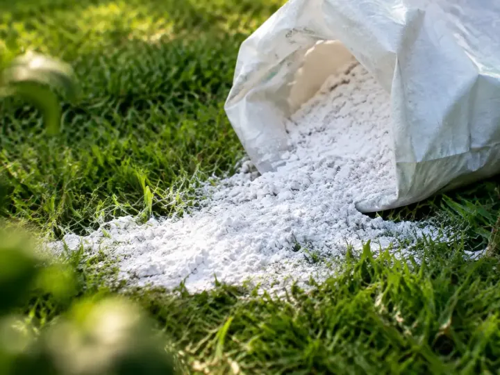 Gazon saupoudre de poudre blanche, sac ouvert au sol