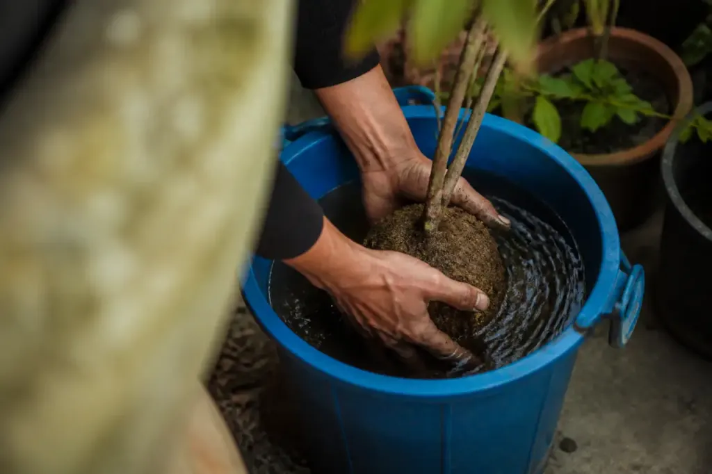 Mains plongeant une motte dans un seau bleu