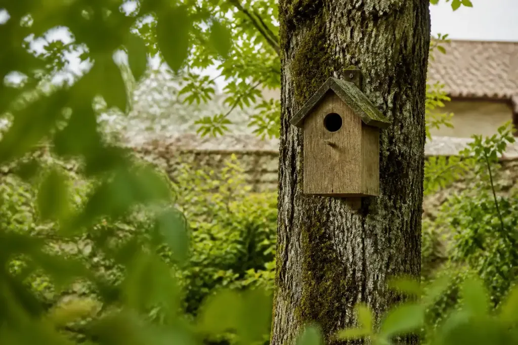 Nichoir en bois accroche sur un vieux tronc