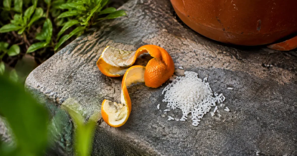 Pelure d'orange et riz poses sur une marche exterieure