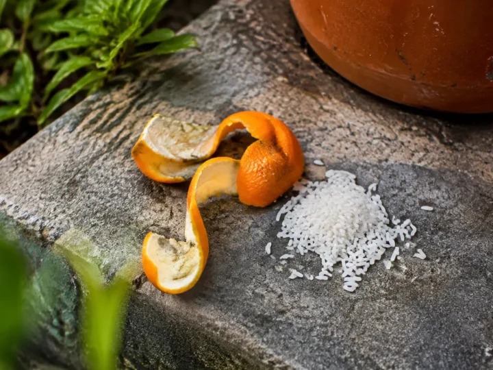 Pelure d'orange et riz poses sur une marche exterieure