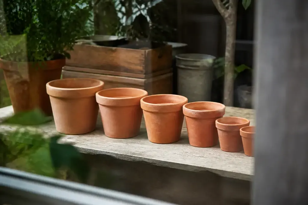 Pots de semis en terre cuite alignes