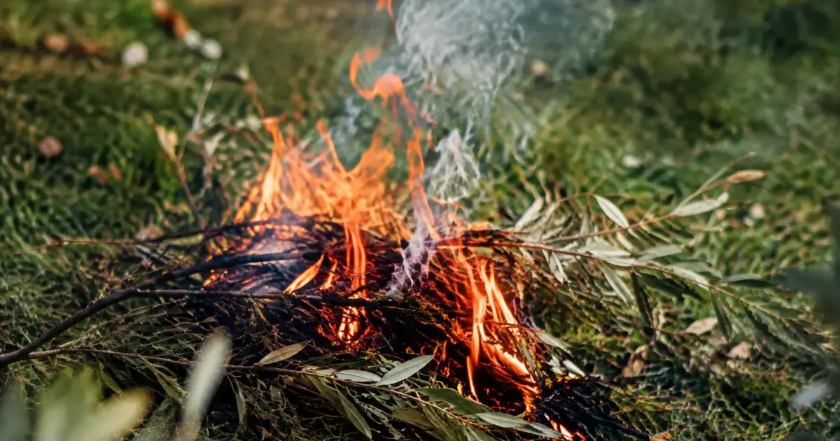 Rameaux secs en feu sur la pelouse, fumee grise