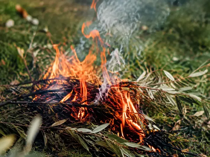 Rameaux secs en feu sur la pelouse, fumee grise