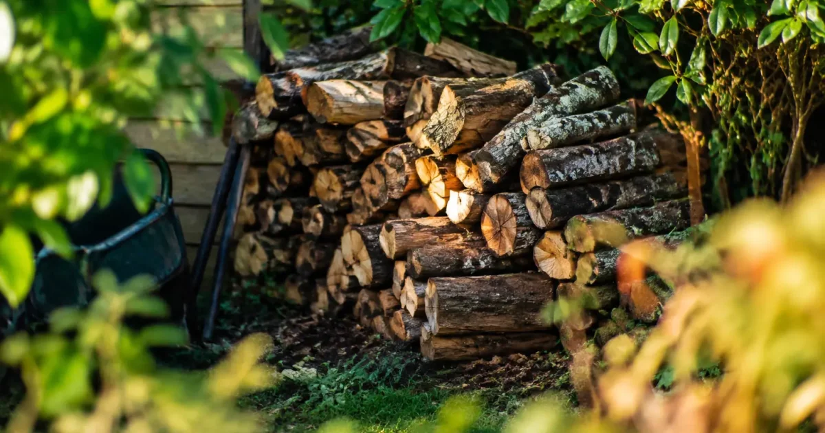 Tas de bois mort empile au fond du jardin