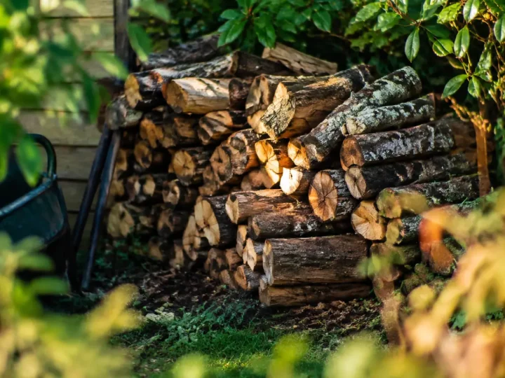 Tas de bois mort empile au fond du jardin